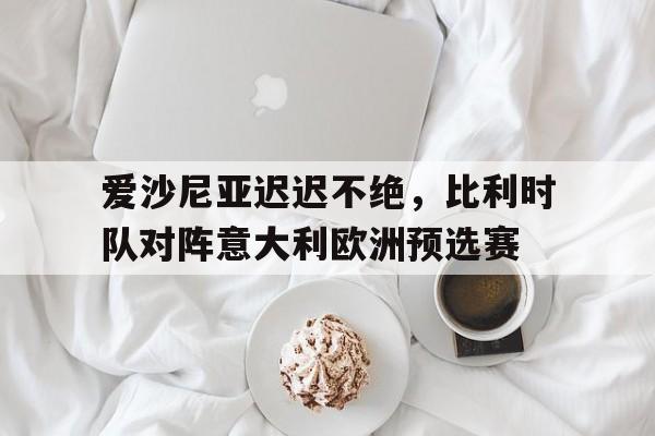 爱沙尼亚迟迟不绝，比利时队对阵意大利欧洲预选赛